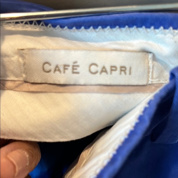 J Crew Blue Cafe Capri pants size 4 - Picture 6 of 11